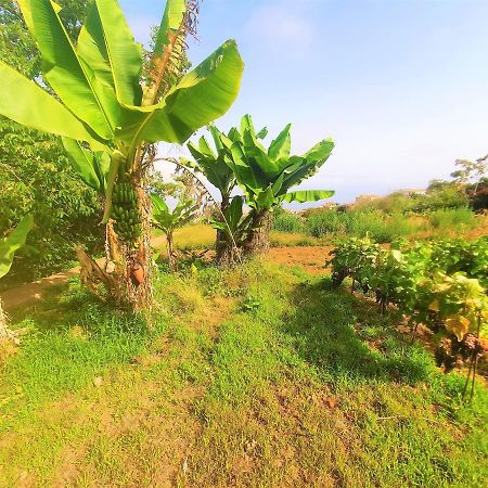 Casa En Finca Ecologica - Wifi 拉奥罗塔瓦 外观 照片