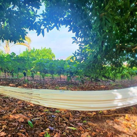 Casa En Finca Ecologica - Wifi 拉奥罗塔瓦 外观 照片
