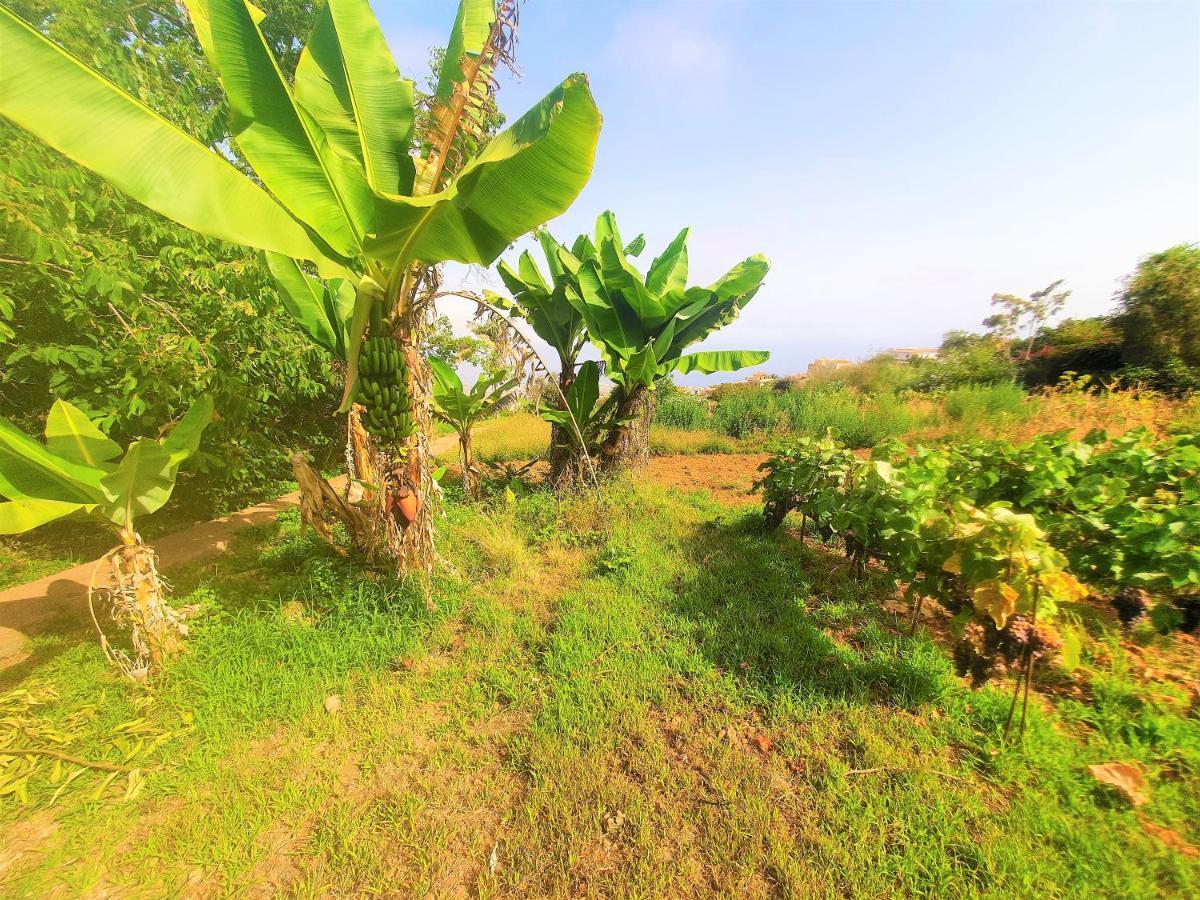 Casa En Finca Ecologica - Wifi 拉奥罗塔瓦 外观 照片