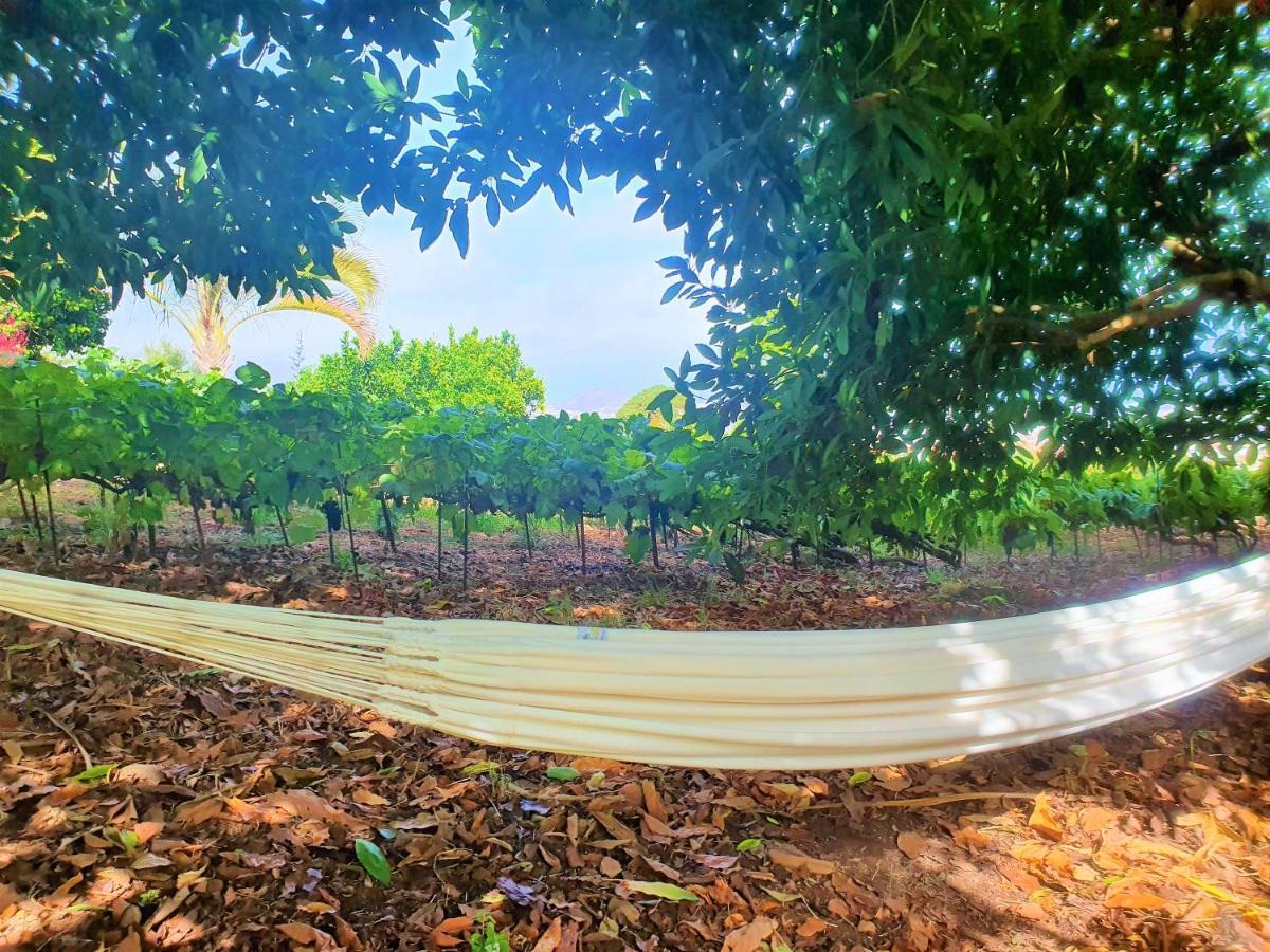 Casa En Finca Ecologica - Wifi 拉奥罗塔瓦 外观 照片