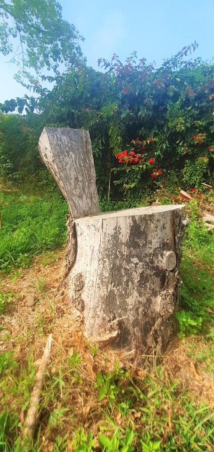 Casa En Finca Ecologica - Wifi 拉奥罗塔瓦 外观 照片