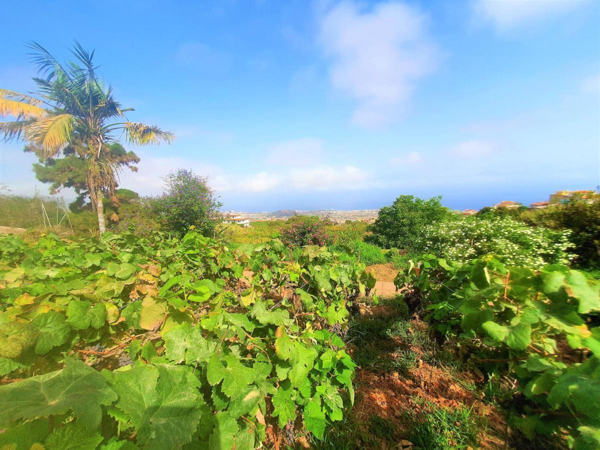 Casa En Finca Ecologica - Wifi 拉奥罗塔瓦 外观 照片