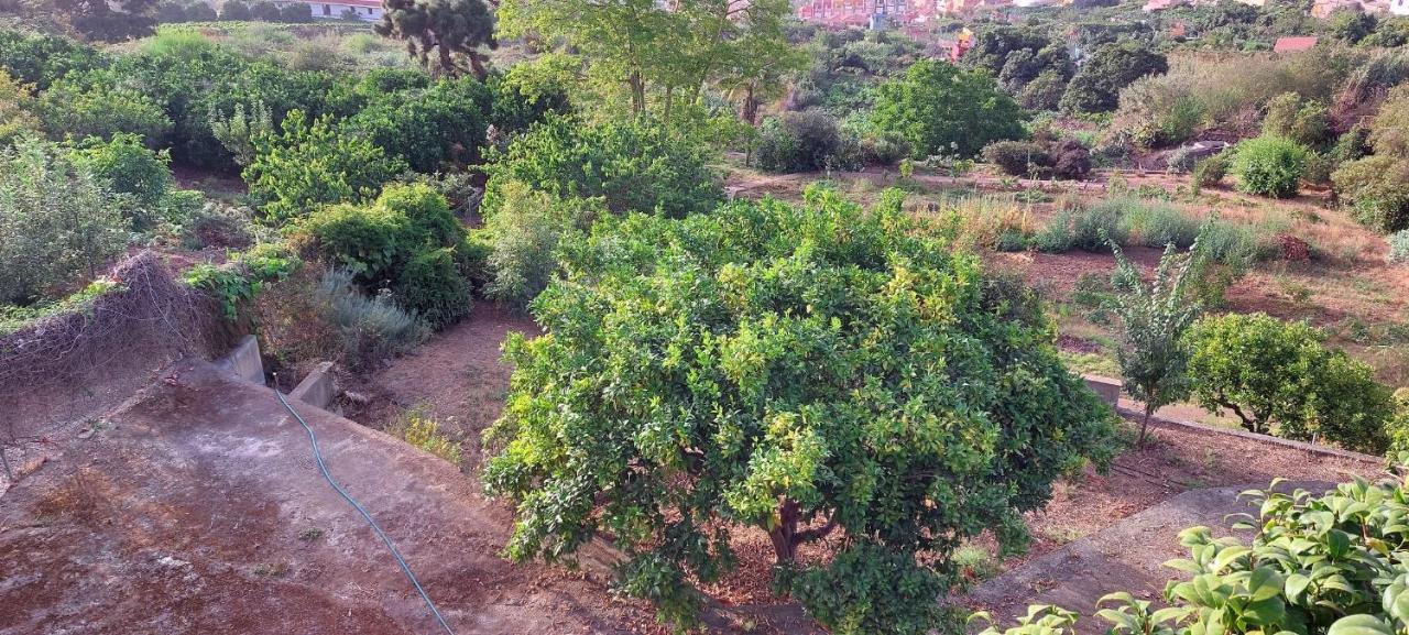 Casa En Finca Ecologica - Wifi 拉奥罗塔瓦 外观 照片