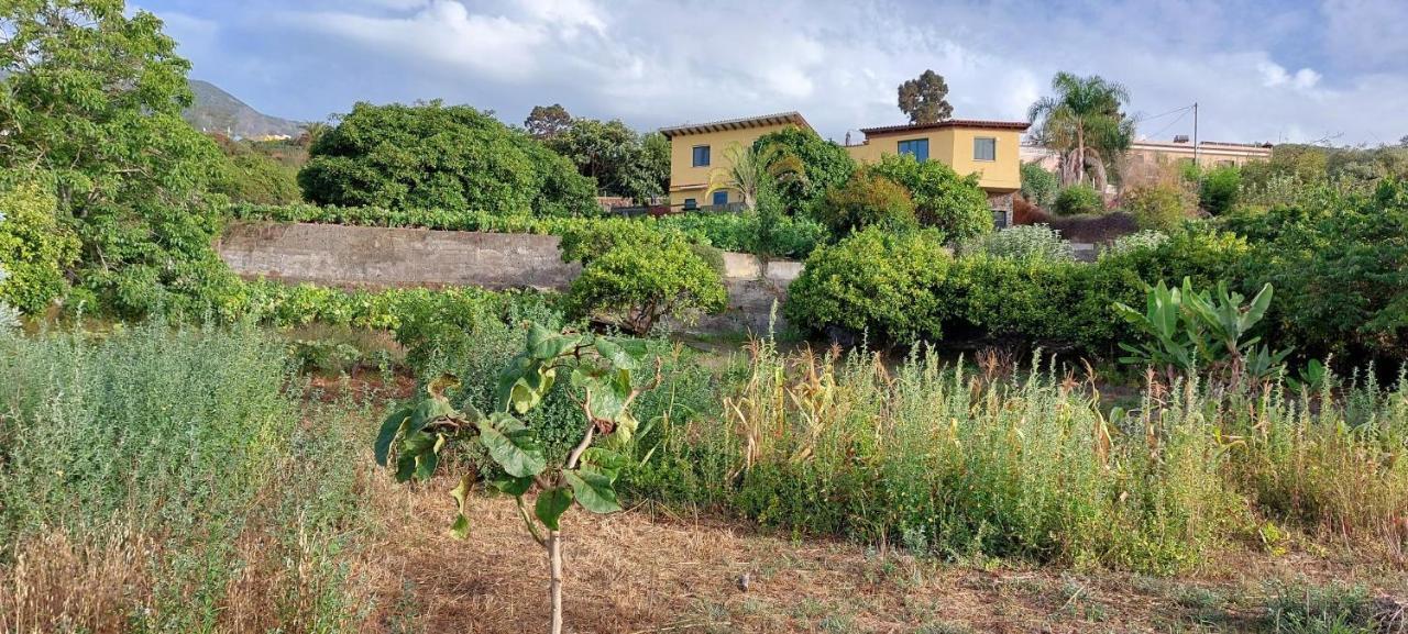 Casa En Finca Ecologica - Wifi 拉奥罗塔瓦 外观 照片