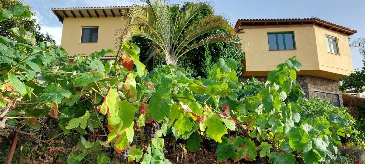 Casa En Finca Ecologica - Wifi 拉奥罗塔瓦 外观 照片