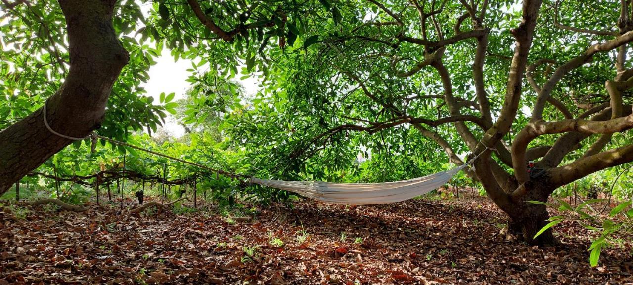 Casa En Finca Ecologica - Wifi 拉奥罗塔瓦 外观 照片